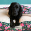 Cath Kidston Dolly Rose Pet Blanket