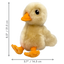 KONG Toughz Duck Medium
