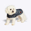 FatFace Marching Dogs Raincoat 50cm