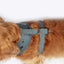FatFace Marching Dogs Harness Medium 52-70cm