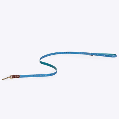 FatFace Spotty Bees Lead Medium 2cm