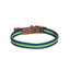FatFace Bold Stripe Woven Collar Medium 2cm