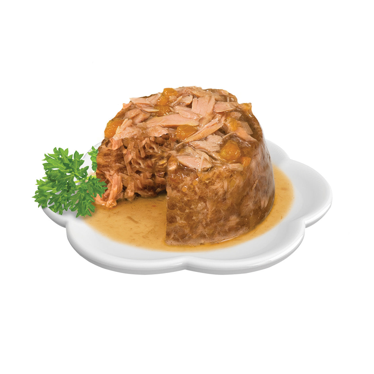 Catit Fish Dinner with Pumpkin 75g