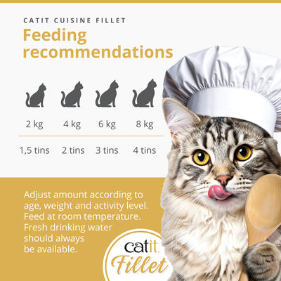Catit Chicken Fillet Variety Pack 12x75g