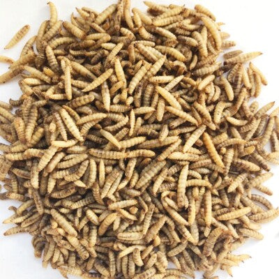 Bucktons Calciworms 12.55kg