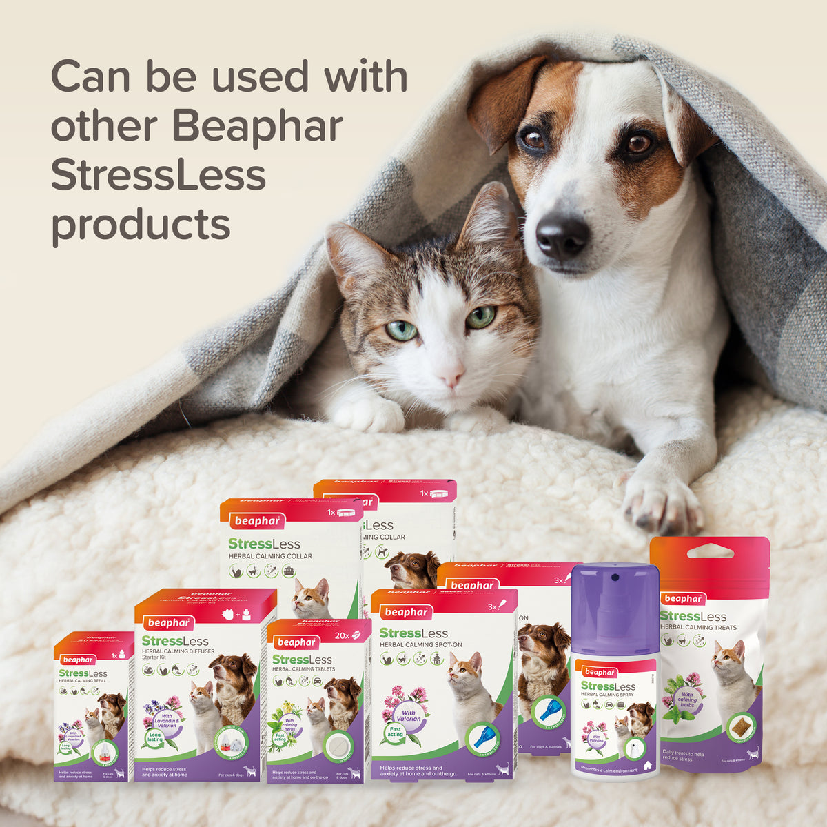 Beaphar StressLess Herbal Calming Diffuser Cats & Dogs Starter Kit 1x ...