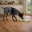Banbury & Co Rural Retreats Ceramic Pet Bowl Medium/Large