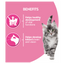 Purina One Kitten 8x85g