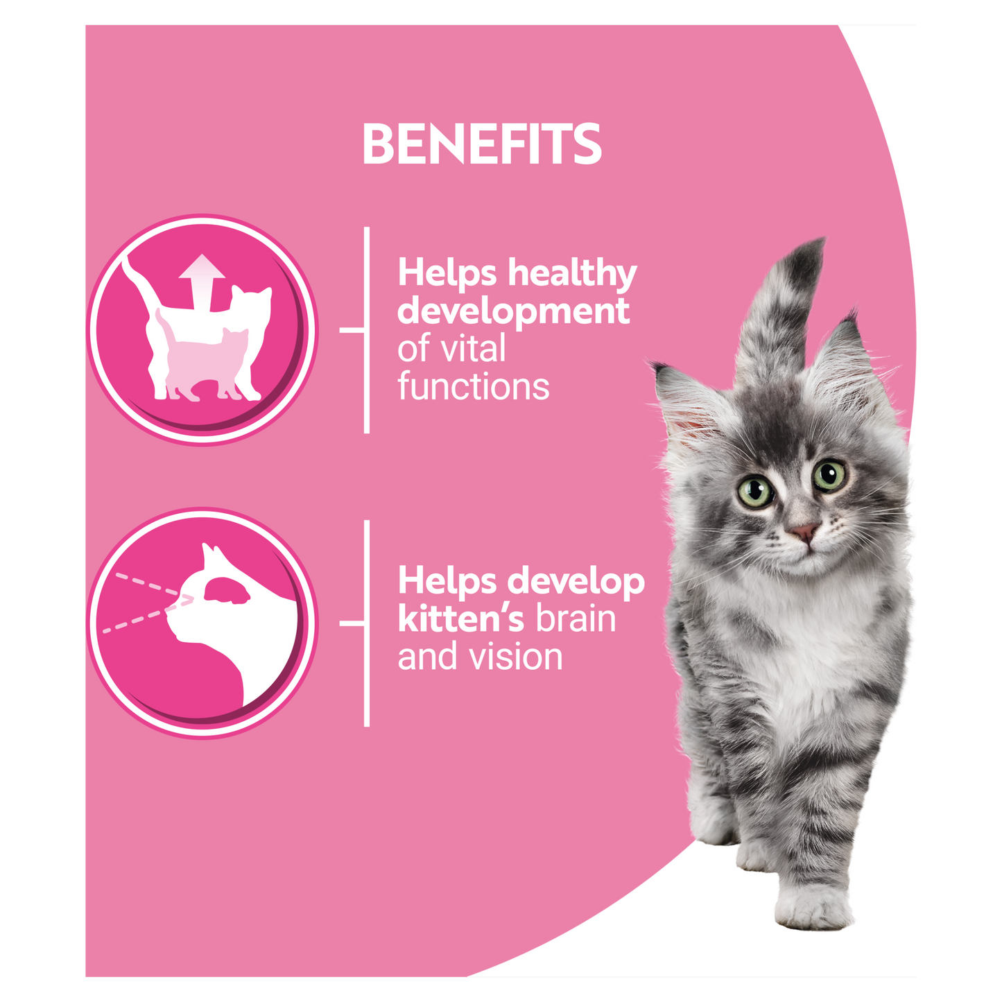 Purina One Kitten 8x85g