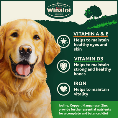 Winalot Adult Wet Dog Food Can With Cod 12x400g