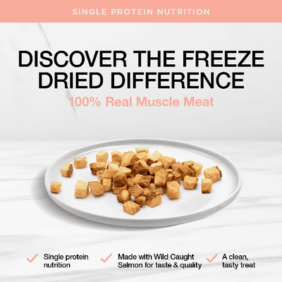 Real Simplicity Freeze Dried Single Protein Treats Wild Caught Salmon 30g