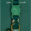 RHS Pets in the Garden Cat Collar