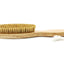 RHS Pets in the Garden Grooming Brush