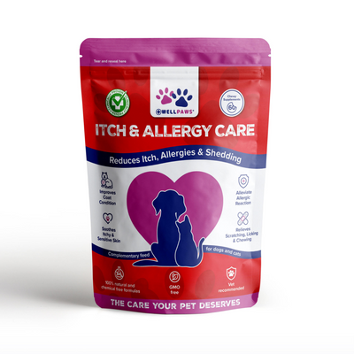 WellPaws Itch & Allergy Care Chewable 180g