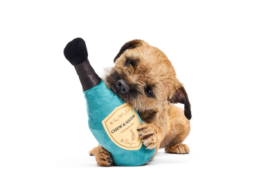 Bark Winner's Chompagne