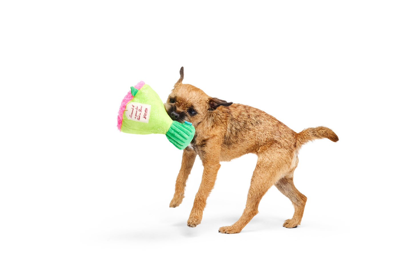 Bark Boopquet of Roses