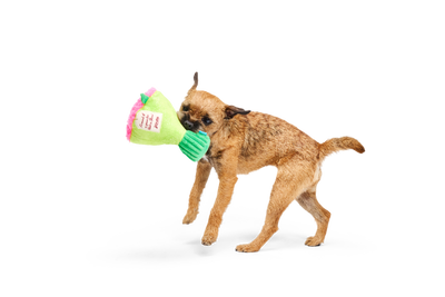 Bark Boopquet of Roses