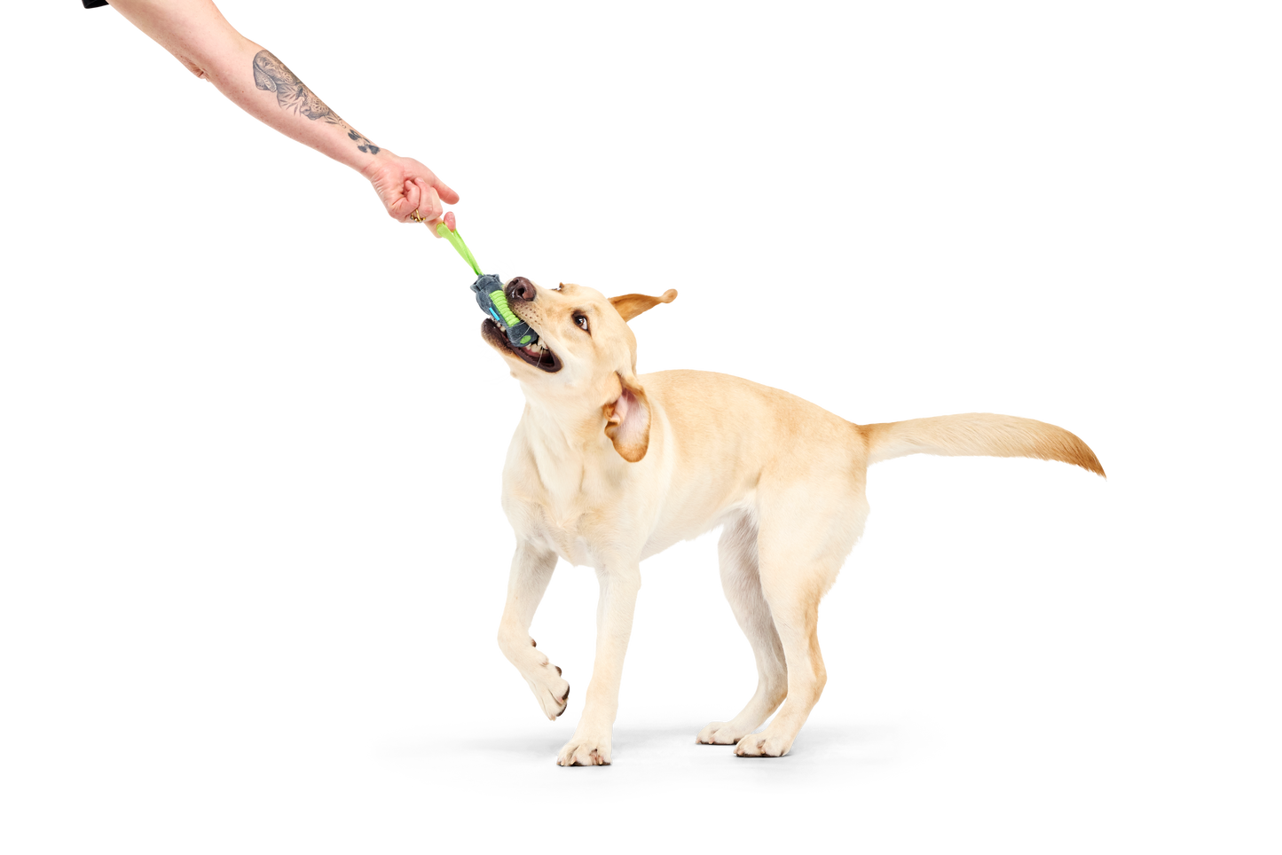 Bark Personal Beast Play Timer