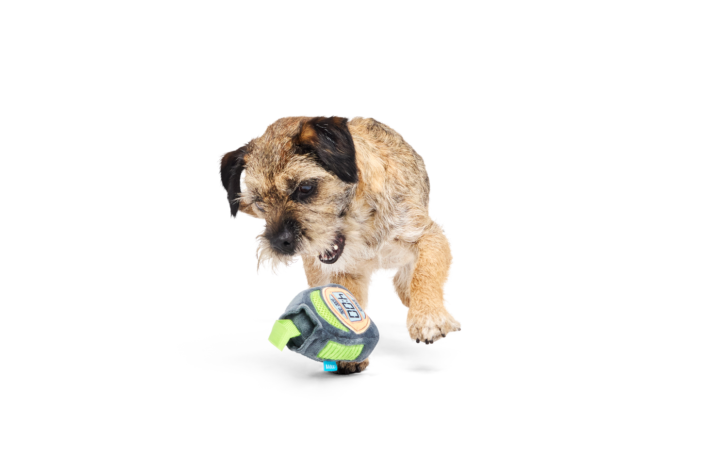 Bark Personal Beast Play Timer