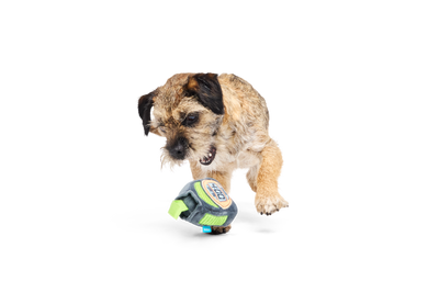 Bark Personal Beast Play Timer