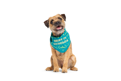 Bark Winner's Bandana