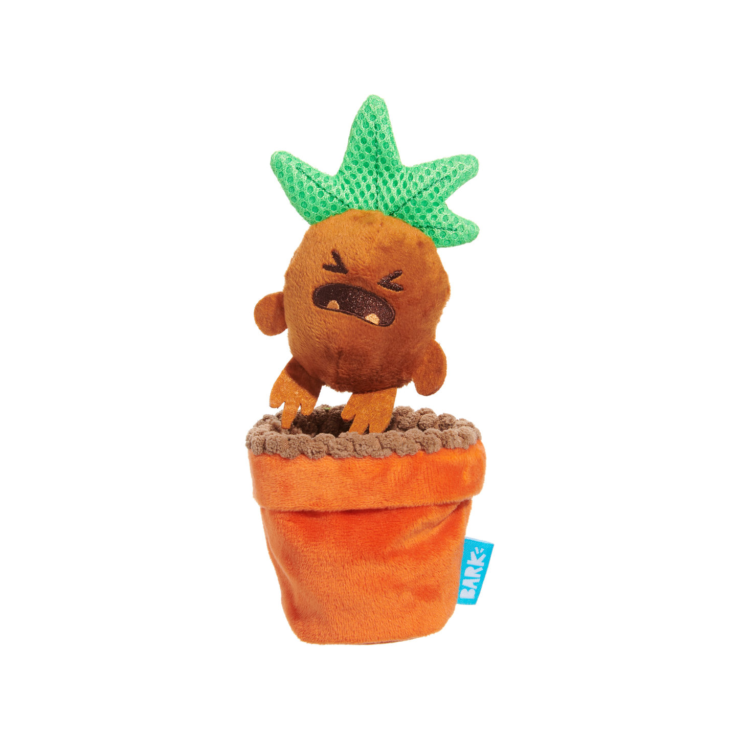 Bark Mandrake