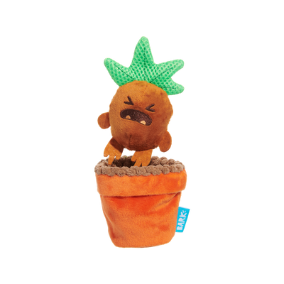 Bark Mandrake