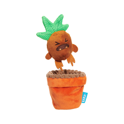 Bark Mandrake