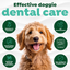 Fresh Breath Dental Health Solution 473ml