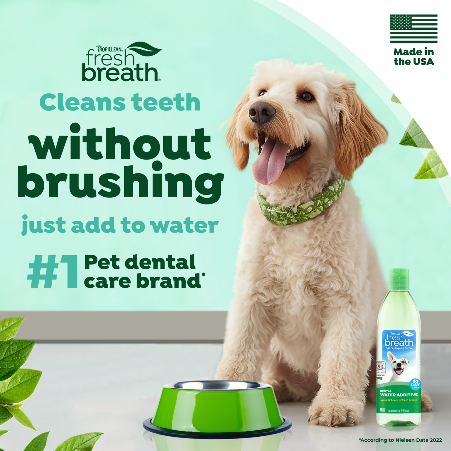 Fresh Breath Dental Health Solution 473ml