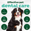 Fresh Breath Dental Finger Wipes