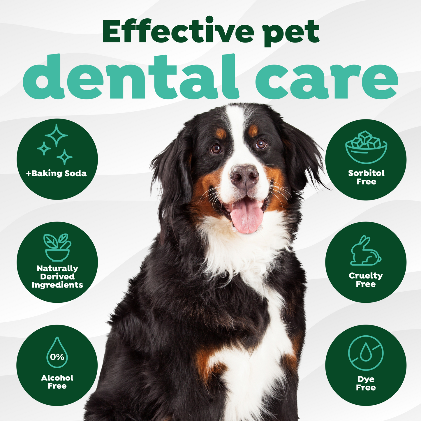 Fresh Breath Dental Finger Wipes