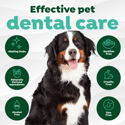 Fresh Breath Dental Finger Wipes