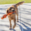 KONG Wubba Sport Basketball Large