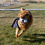 KONG Wubba Sport Football Large