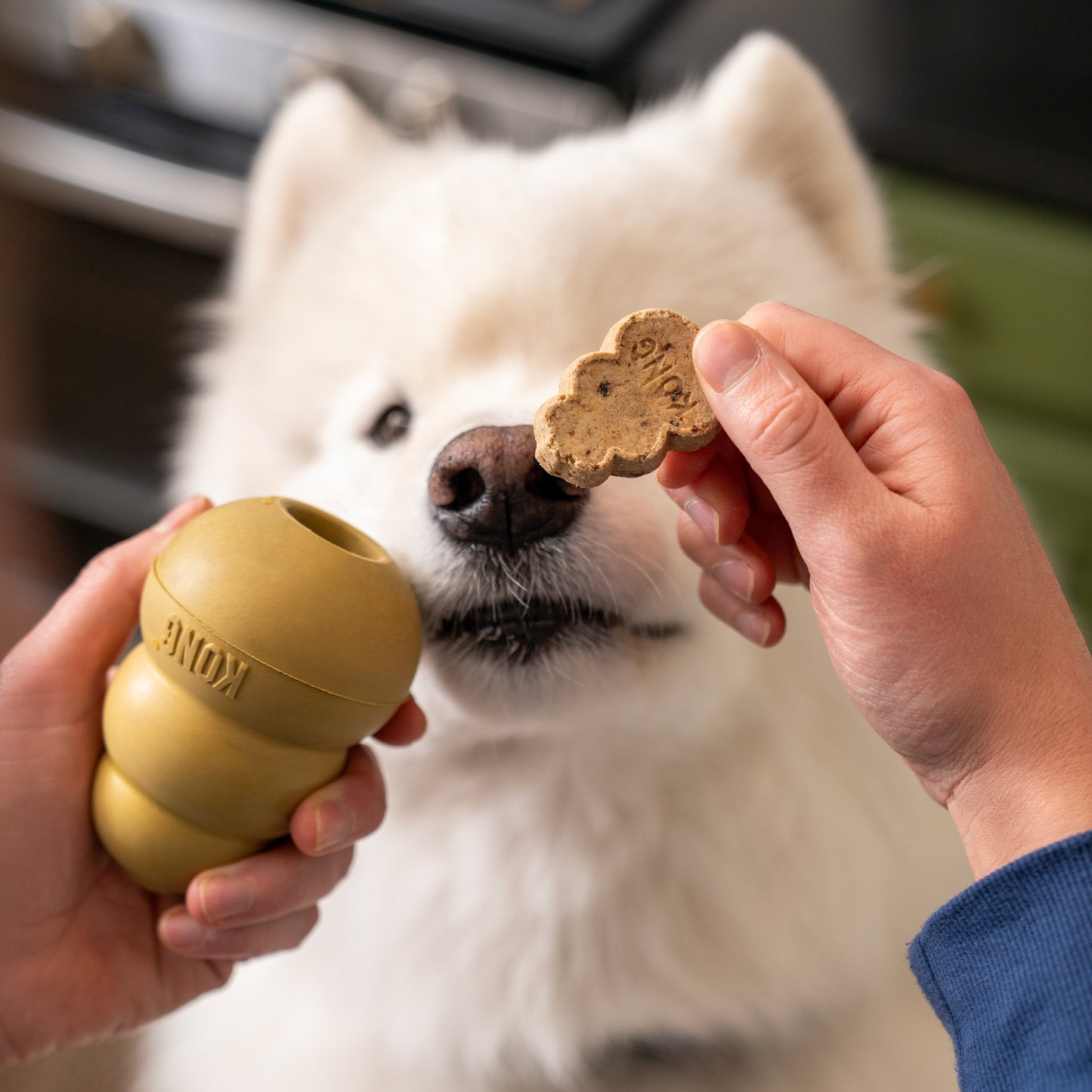 KONG Snacks Birthday Recipe Small