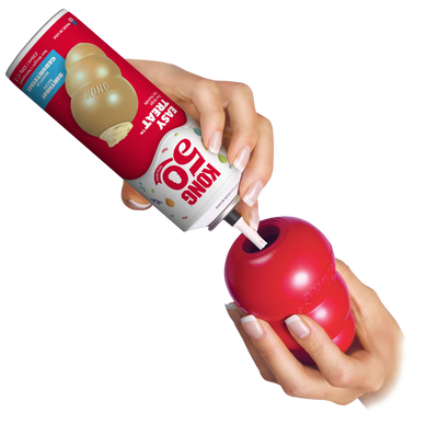 KONG Easy Treat Birthday Recipe