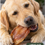 Premium Large Pig Ears - 50 Bag