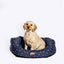 Fatface Spotty Bees Deluxe Slumber 35" - 89cm