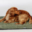 Fleece Green Herringbone Blanket Medium