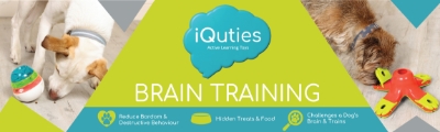 IQUTIES-Banner-1150x345