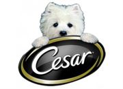 Cesar