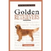 New Owner Gold Retriever